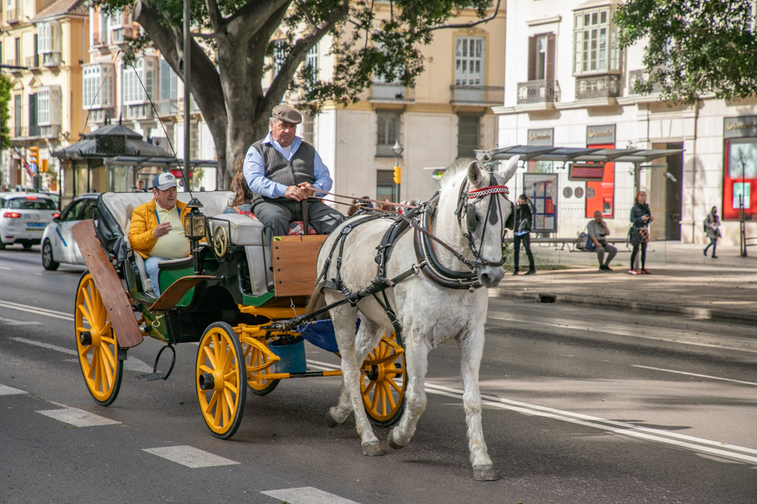 Malaga